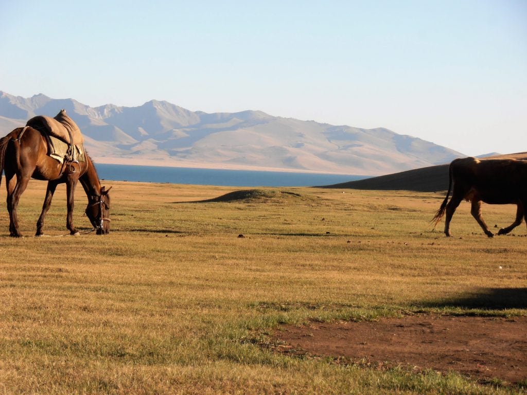 kyrgyzstan trip review