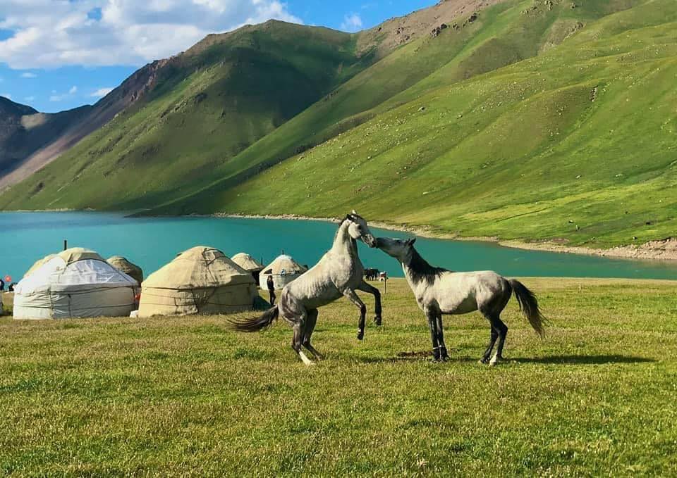 kyrgyzstan trip review