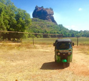 paysage-et-tuk-tuk