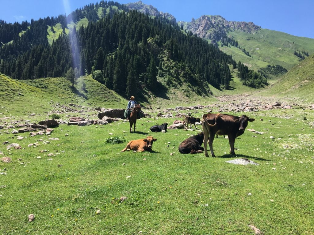 voyager-a-cheval-au-kirghizistan