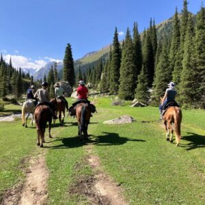 horseback trek gtla