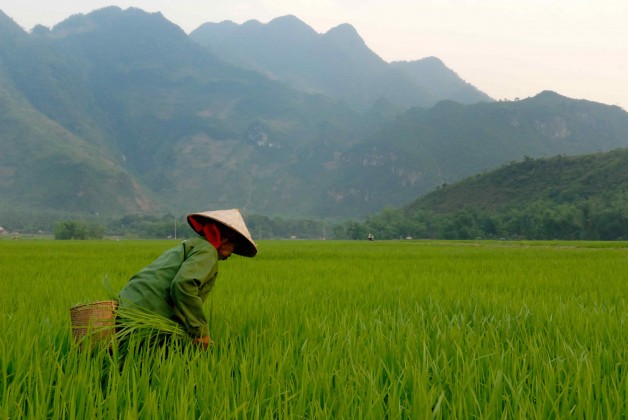 Vietnam: le guide complet pour préparer ton voyage routard.